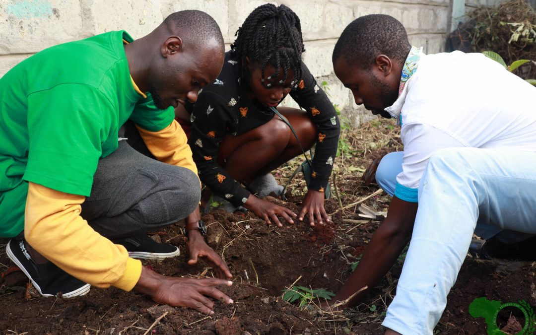 SoryAfrica’s Tree Planting Exercise At YMCA Shauri Moyo